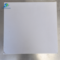 Panneau de contrôle acoustique stratifié PVC haute densité 603*1213mm pour l'insonorisation des hôtels, cinémas et théâtres - Panneau de traitement acoustique en plâtre