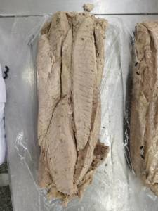 Lomo de atún barrilete precocinado congelado, bolsa de filete de pescado de limpieza única, envasado al vacío, lomo de <span class=keywords><strong>pez</strong></span> patudo precocinado congelado - Product Image 4