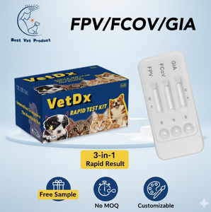 Kit de Prueba Rápida de Antígeno del Parvovirus Felino en un Solo Paso, Prueba FPV Ag para Diagnóstico <span class=keywords><strong>In</strong></span> <span class=keywords><strong>Vitro</strong></span> de Enfermedades Animales - Product Image 4