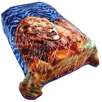 Usine de couverture d'hiver en peluche épaisse Raschel Mink Faux Mink Animal Design