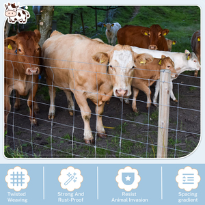 Clôture en fil métallique durable galvanisé à haute résistance avec articulations à charnière pour les élevages de bovins, de moutons et de cerfs - Product Image 5