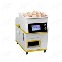 Entièrement automatique Nouvel équipement de cuisson essentiel Omelette Maker Électrique Intelligent Egg Fryer Machine de cuisson