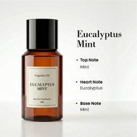 Huile parfumée à la menthe eucalyptus, notes végétales naturelles, huile aromatique 50/100/500ml, recharge de diffuseur, huile parfumée pour hôtel, maison, bureau