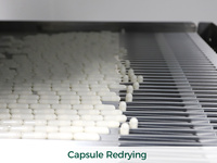 Capsules de gélatine vides transparentes et opaques de qualité supérieure, conformes aux normes européennes, pour compléments alimentaires