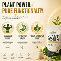 Poudre de protéines de vanille premium, végétalienne, à base de plantes, complément nutritionnel, formule non-OGM pour la remise en forme, l'entraînement et la récupération, vente en gros OEM
