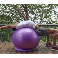 Chaise ballon d'exercice 65 cm, ballon de yoga de bureau inclus, bandes de résistance