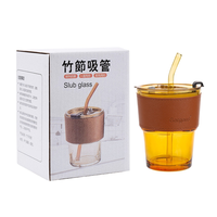 Gobelet en verre réutilisable de qualité supérieure de 350 ml avec couvercle anti-fuite et paille en acier inoxydable pour boissons froides