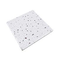 Plaques de plâtre en PVC, plaques de gypse, feuilles de marbre, plastique, vinyle, bambou, dalles de plafond acoustiques, panneaux muraux 3D à Dubaï, prix bas