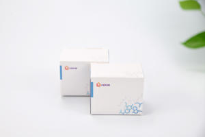 Ardent <span class=keywords><strong>Taq</strong></span> <span class=keywords><strong>ADN</strong></span> <span class=keywords><strong>Polymérase</strong></span> Kit <span class=keywords><strong>Taq</strong></span> <span class=keywords><strong>Polymérase</strong></span> - Product Image 5