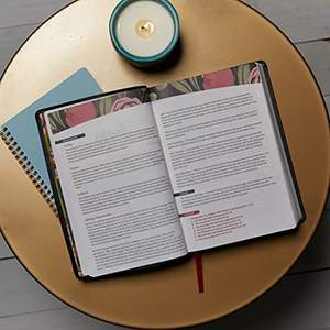 บริการพิมพ์หนังสือไบเบิล King James ปรับแต่งได้พร้อมกระดาษศิลปะคุณภาพสูงกระดาษแข็งวัสดุการพิมพ์ออฟเซต - Product Image 5