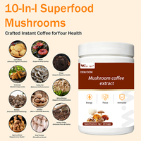Mélange Énergisant Premium à Base de Plantes Multi-Fongiques, Café Instantané Bio Reishi Adaptogène, Superaliment 10-en-1 en Poudre de Champignons