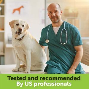 개와 고양이를위한 OEM 대마 오일 불안 스트레스 통증 완화 고관절 지원 개 진정 액체 보충제 오메가가 풍부 3-6-9 - Product Image 6