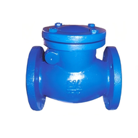Vanne de canalisation en fonte ductile multi-usages, sans odeur, sûre pour l'eau potable, avec protection, raccord fiable