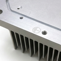 Radiateur de refroidissement en aluminium avec plaque à bride intégrée sur mesure, usinage CNC, perçage, extrusion, dissipateur thermique pour amplificateur de puissance