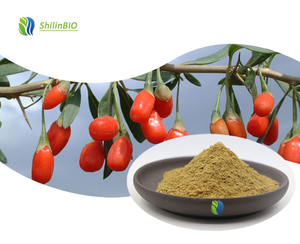 SLBIO 食品グレード 天然クコの実エキス粉末 80メッシュ クコの実粉末 - Product Image 1