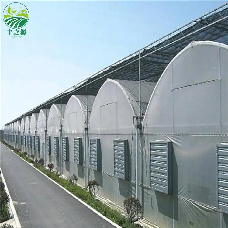 Agricultura fabricante túnel multi-span arco filme plástico estufa sistema projeto Turnkey