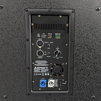 Module d'Amplification de Puissance Classe D Professionnel Haute Vente 1000W KLA181A pour Subwoofer