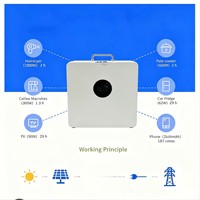 AILI Centrale Électrique Portable 1kWh 500W LiFePO4, Générateur à Panneaux Solaires, Système de Stockage d'Énergie Domestique, Onde Sinusoïdale Pure, Alimentation de Secours d'Urgence