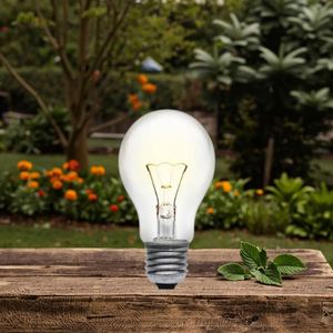 หลอดไส้ E27 100W 200W 300W 500W ฐานอลูมิเนียมพร้อมวัสดุแก้วจาก - Product Image 3