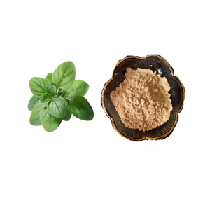 Natural <strong>Oregano</strong> Leaf Extract Powder - Product Image 1