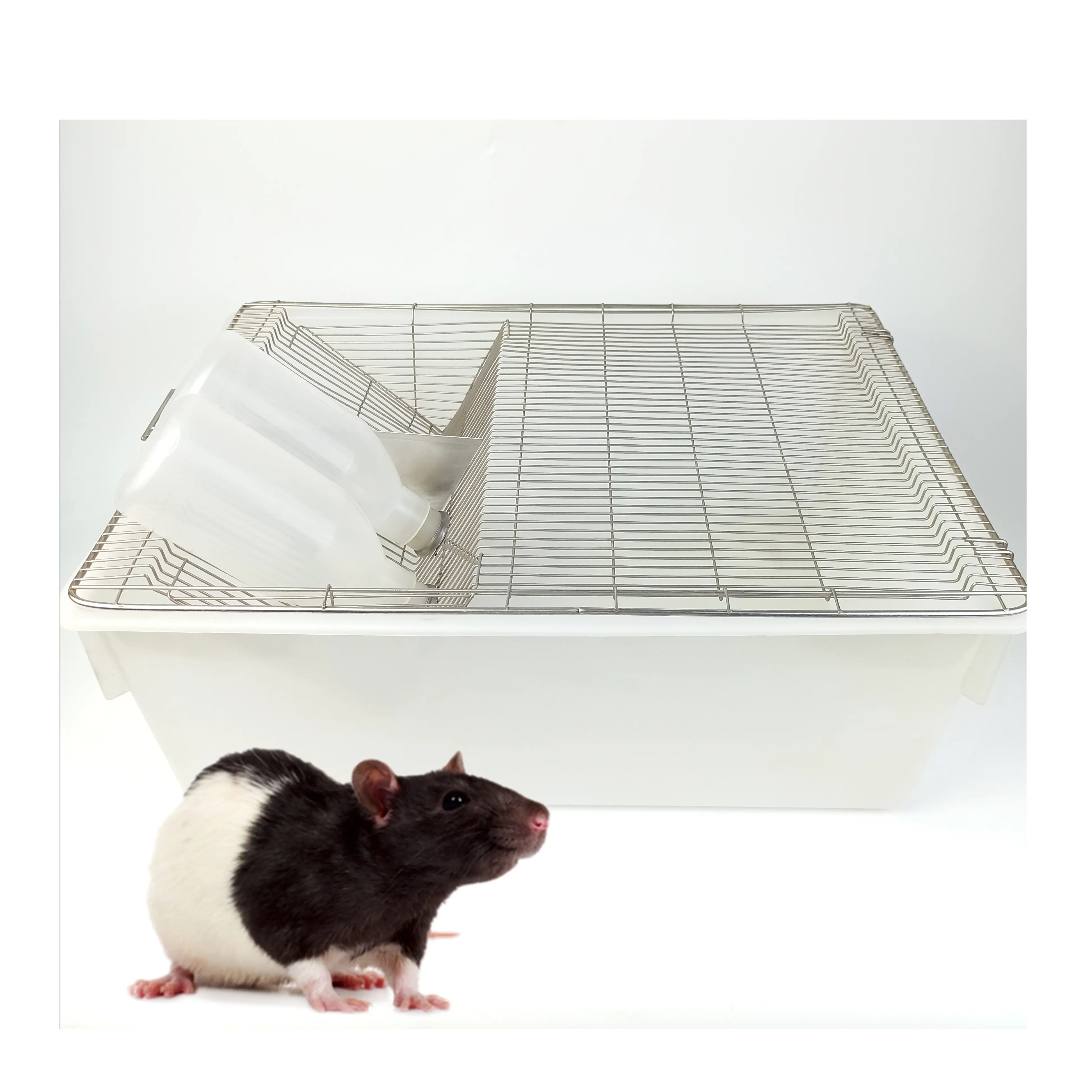 Laboratuvar sıçan fare fare üreme kafesi büyük ucuz 545x395x200mm PP PC kemirgen besleme küvetleri plastik polipropilen polikarbonat