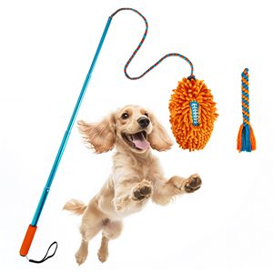 AFP Interactive Outdoor Exercise Training Pet Toy Extendable <strong>Dog</strong> <strong>Flirt</strong> <strong>Pole</strong> <strong>Dogs</strong> Chase &amp; Tug-of-war Teaser Wand Lure Chew Toy - Product Image 1