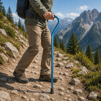 Canne de marche pliable, réglable sur 5 niveaux, légère et portable, pour le camping et la randonnée