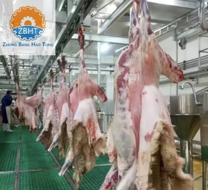 Комплексное решение для полностью автоматизированного убоя овец - Оборудование для полной линии переработки - Product Image 1