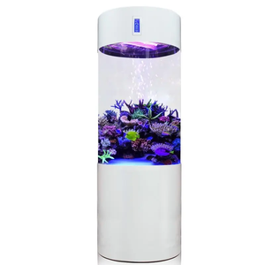 Rond <span class=keywords><strong>aquarium</strong></span> cilindrische visbak op maat grote ronde visbak acryl buis <span class=keywords><strong>aquarium</strong></span> - Product Image 4
