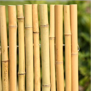 装飾と建設のためのモソ竹杖 - Product Image 2