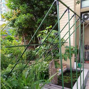 Solid Garden Stakes Fiberglass Poles FRP Fence Post Agriculture Horticulture Fiberglass Stakes <b>Rods</b> - Product Image 3