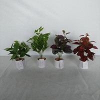 Plante artificielle Hypoestes Phyllostachya (herbe à pois rouge violette) en pot de soie, 45 cm, durable, pour mariage, Noël, maison, table