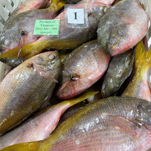 Congelado entero Yellowtail Fusilier Premium Fish Vietnam Exportación Precio competitivo Mariscos frescos Paquete al vacío a granel Venta al por mayor IQF - Product Image 5