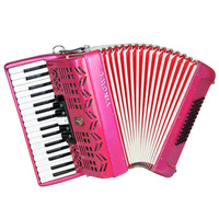 Parrot Brand Music Instrument 34 Keys 60 Bass Button Accordion for Child