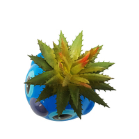 Pot Bonsai keramik Mini kustom, pot tembikar porselen murah untuk tanaman taman sukulen