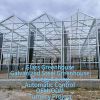Grande serre agricole multi-chapelles en verre et polycarbonate, système hydroponique, résistance au vent et à la corrosion, acier galvanisé