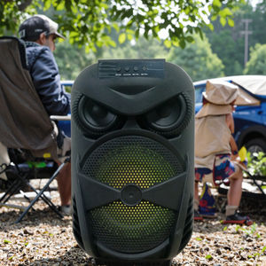6.5 Inch Portable Bluetooth Karaoke <strong>Speaker</strong> Mic Low-Priced Hi-Fi <strong>System</strong> Soundbar <strong>Mini</strong> Large <strong>DJ</strong> <strong>Speakers</strong> - Product Image 4