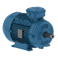 Moteur Électrique à Induction Triphasé SEMC WEG TECO Siemens Regal Rexnord Vem Marathon Leeson 100hp 150hp 200hp 250hp