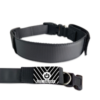 Collier LED Lumineux pour Chien et Chat avec Affichage Programmable Défilant, Écritures Personnalisables, Matériau en Nylon