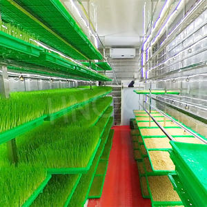 Máquina Automática HNOC para Cultivo Hidropónico <span class=keywords><strong>de</strong></span> Forraje, Máquina para Germinar <span class=keywords><strong>Brotes</strong></span> <span class=keywords><strong>de</strong></span> <span class=keywords><strong>Soja</strong></span>, Maní y Frijol Mungo - Product Image 3