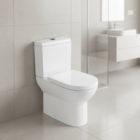 Offre Spéciale chinois porcelaine de bonne qualité monté sur le sol inodoro deux pièces wc cuvette de toilette avec filigrane pour le marché asustralia 9058