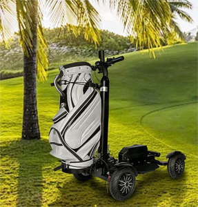 Carrito de Golf Inteligente para Terrenos Irregulares, Asientos Confortables, Carrito de Golf de Alta Adherencia para Carreteras No Públicas - Product Image 1