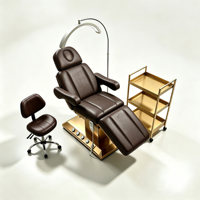 Fauteuil de beauté électrique à 3 moteurs avec base dorée, réglable, pour soins du visage et tatouages, avec tabouret, chariot de beauté et lumière LED