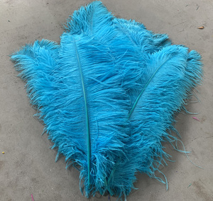 40-45cm pennacchio naturale <span class=keywords><strong>fucsia</strong></span> <span class=keywords><strong>piume</strong></span> di struzzo per festa di carnevale casa matrimonio centrotavola vaso per vacanza fai da te artigianale floreale - Product Image 2