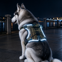 Qcool Çekmez Yanıp Sönen Nefes Alabilen Dayanıklı Naylon Açık Hava Eğitimi Toptan Evcil Hayvan Malzemeleri LED Köpek Tasması Yelek Seti Üreticisi