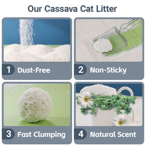 1.5kg kedi kumu koku kontrolü biyobozunur sürdürülebilir toplu tedarik yıkanabilir topaklanma Cassava kedi çöp Pet için - Product Image 2