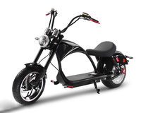 Accessoire Citycoco CP-4 poignée d'accélérateur SKU SS-ZB