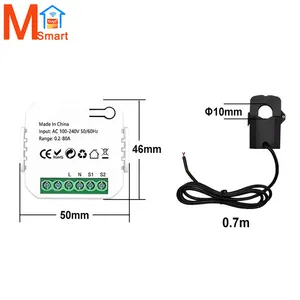 tuya smart life wifi energy meter 80A with current transformer clamp Electricity statistics