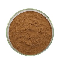 Poudre d'extrait de champignon d'huître de haute qualité