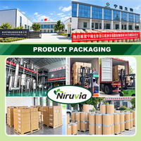 Softgel Minyak Biji Labu Ekstrak Virgin Cold Pressed Label Pribadi 1000mg Formula Potensi Tinggi Teruji Laboratorium Pabrik Bersertifikat GMP